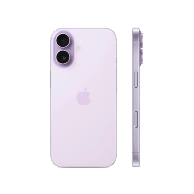Смартфон Apple iPhone 17 256Gb Lavender A3520 MG6M4HN/A (Sim+eSim) 195950644043