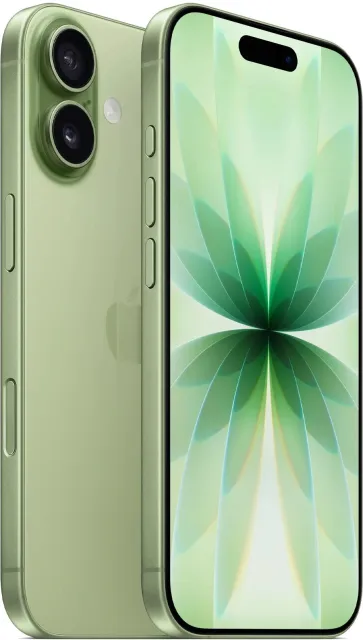 Смартфон Apple iPhone 17 256Gb Sage A3520 MG6N4HN/A (Sim+eSim) 195950644241