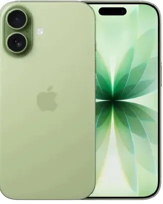 Смартфон Apple iPhone 17 256Gb Sage A3520 MG6N4HN/A (Sim+eSim) 195950644241