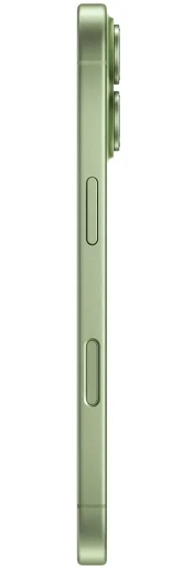 Смартфон Apple iPhone 17 256Gb Sage A3520 MG6N4HN/A (Sim+eSim) 195950644241