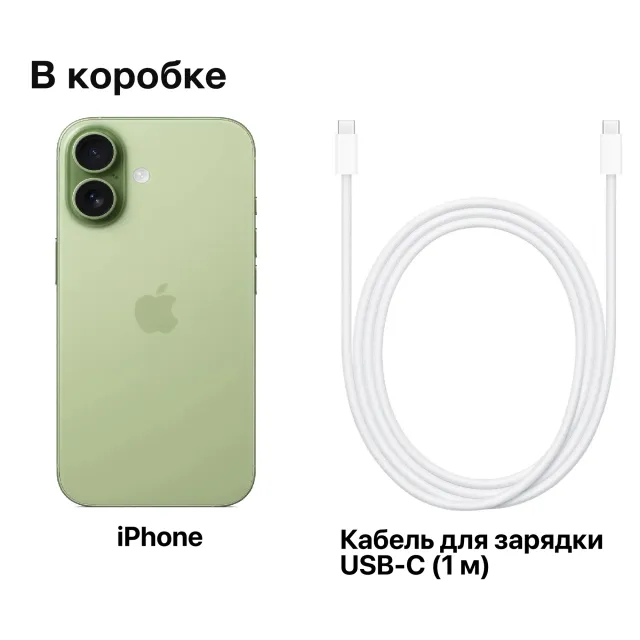 Смартфон Apple iPhone 17 256Gb Sage A3520 MG6N4HN/A (Sim+eSim) 195950644241