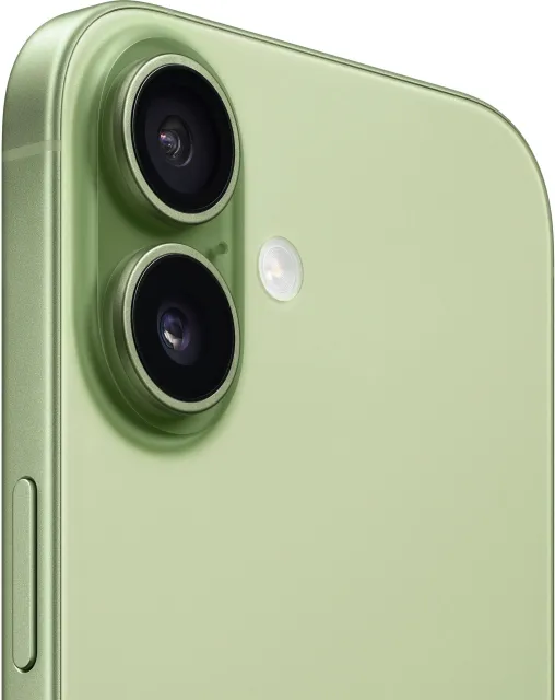 Смартфон Apple iPhone 17 256Gb Sage A3520 MG6N4HN/A (Sim+eSim) 195950644241