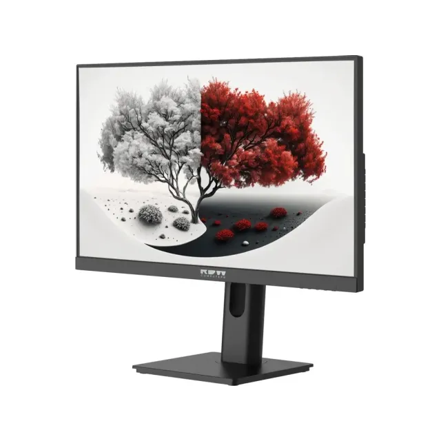 Монитор RDW2401K ЕМТЦ.467846.008-01 23,8" 1920x1080(FHD) IPS 120Hz 1мс 178°/178 350cd HDMI DP Type-C