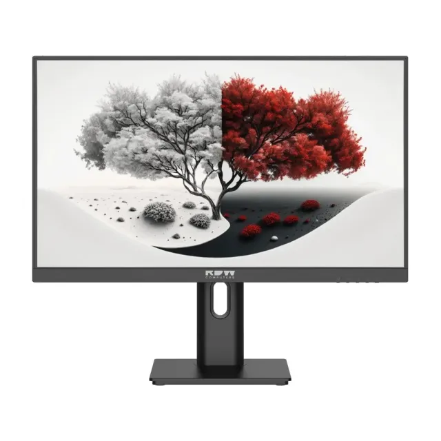 Монитор RDW2401K ЕМТЦ.467846.006-01 23,8" 1920x1080(FHD) IPS 120Hz 4мс 178°/178 350cd