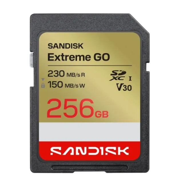Карта памяти SanDisk Extreme GO SDXC SDSDXGN-256G-GNCIN 256GB A2 V30 U3 C23