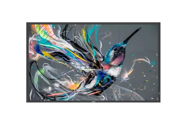 Профессиональный дисплей Philips 50BDL3650Q/00 50", 18/7, UHD, 400 кд/м2, Android, CMND